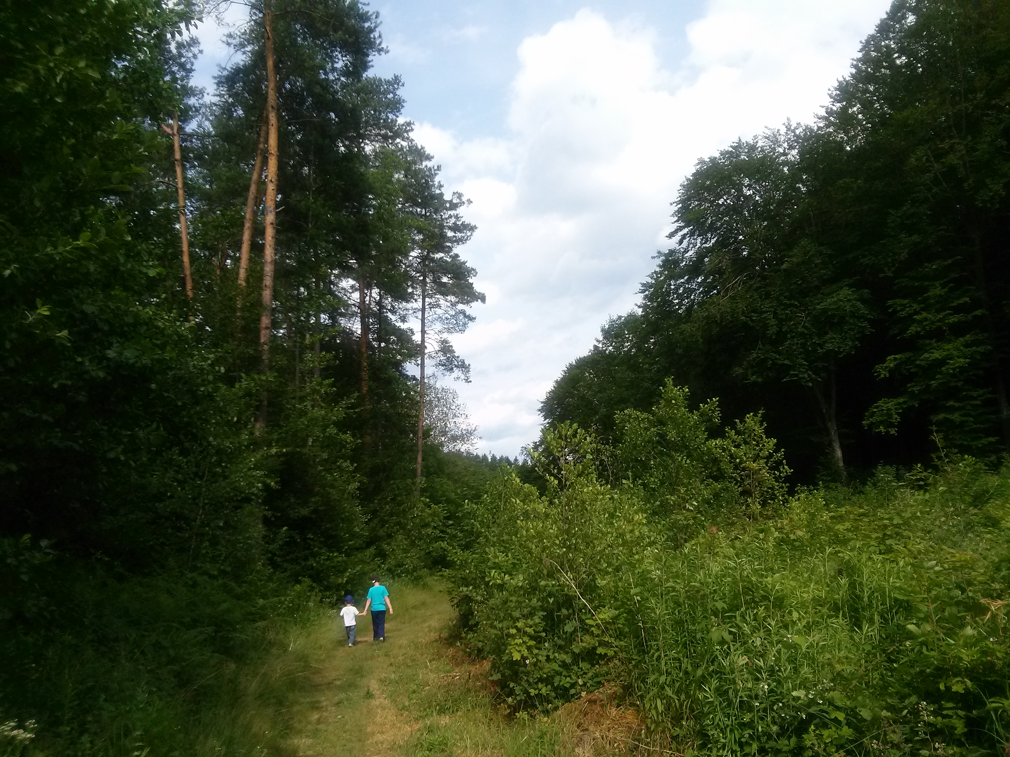 Jogtörténeti és -elméleti bevezető a kiskorúak vagyonának szülői vagyonkezeléséről