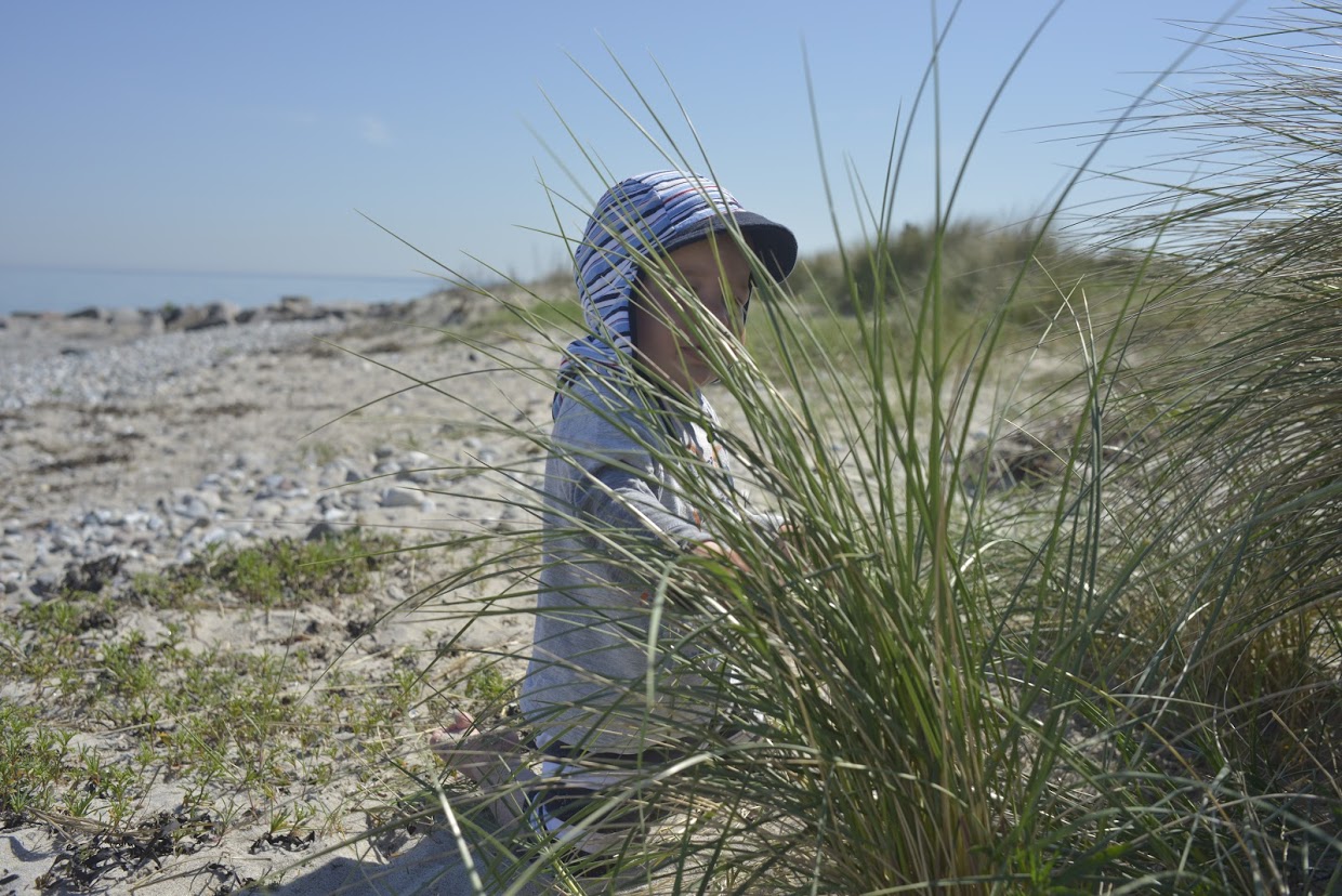 A gyámi vagyonkezelés szabályai és gyakorlata
